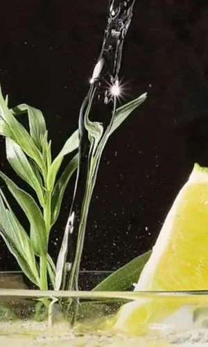 Bolivian Cocktail Singani 2026 (BCS) reinterpretará el Singani desde la coctelería contemporánea.