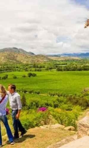 En Bolivia, sus vinos muestran consistencia, profundidad y capacidad de guarda