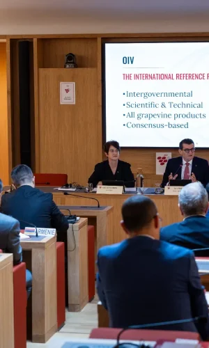 La OIV consolidó su Plan Estratégico 2025–2029, nuevas estructuras y la histórica gira diplomática por América del Sur