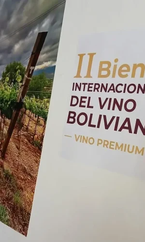 Los vinos de Bolivia se muestran en Madrid.