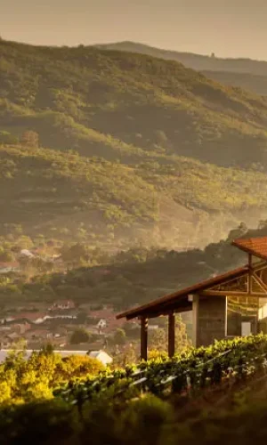 Samaipata será una fiesta en la 3era versión de la vendimia cruceña.