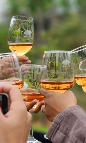 UCB Tarija lanza el diplomado en enoturismo que se iniciará el 14 de septiembre