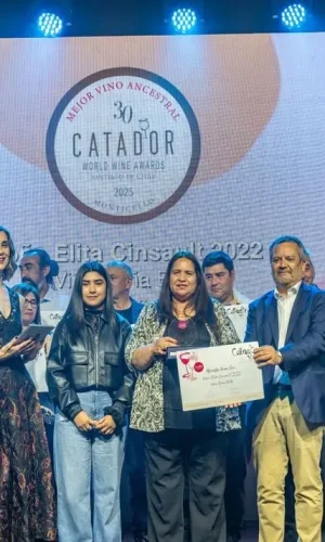 Vinos y espirituosos de Bolivia lograron medallas en Chile.